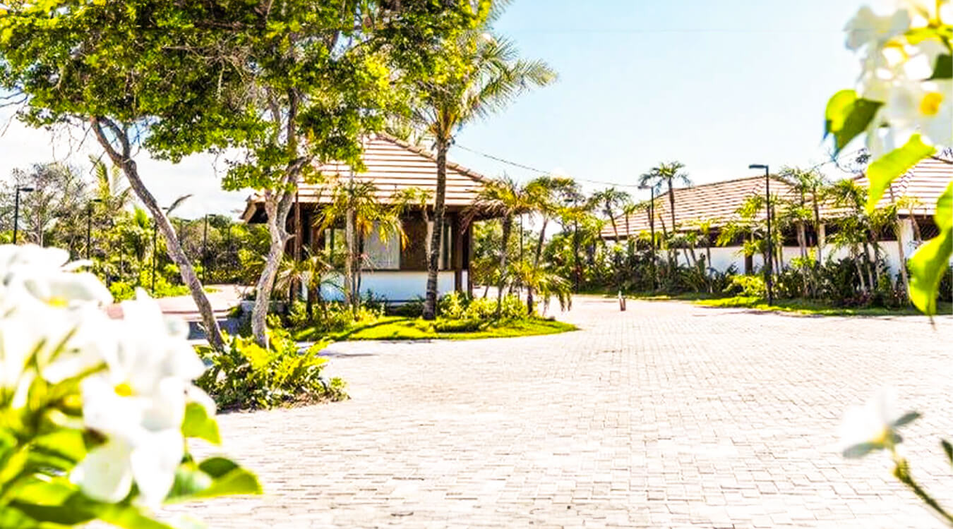 condominio-tartarugas-04